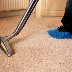 Carpet Cleaning Service